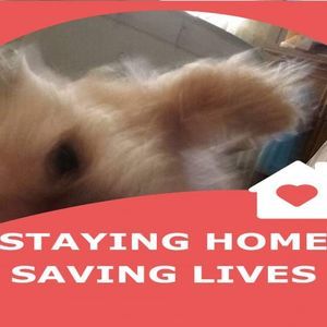 Meet your Posher, Nilsa